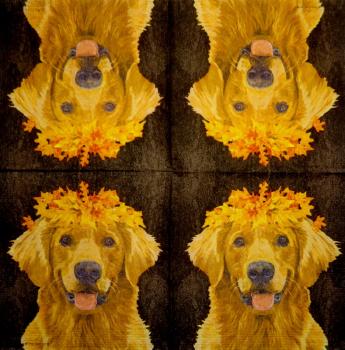 HUN-354 Dogs - 3-ply - ppd - Two Can Art - CS
